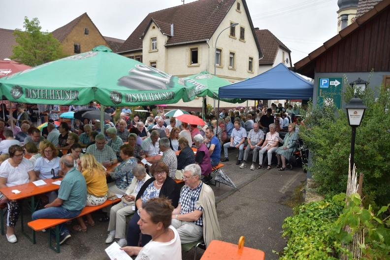 web-Degmarn_700SLODpic1486.jpg